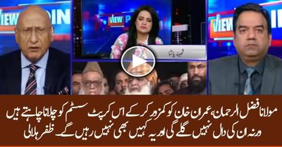 Fazlur Rehman Wish To Make Imran Khan's Govt Weaker And Continue Corrupt System - Zaffar Hilaly