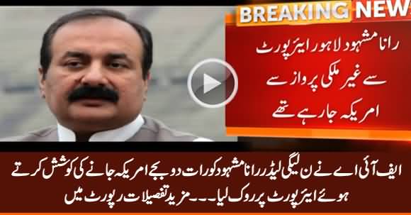 FIA Stops PMLN Leader Rana Mashood From Travelling Abroad