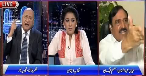 Fight Between Abdul Mannan (PMLN) & Zafar Hilaly - Abdul Mannan Shouting Like An Animal