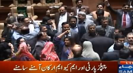 Fight Between MQM And PPP Members In Sindh Assembly, Assembly Became Fish Market