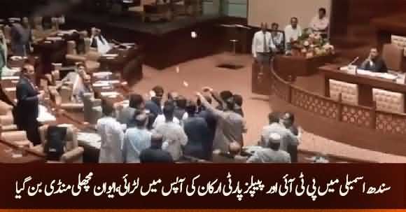 Fight Erupts Between Firdous Shamim Naqvi And Imtiaz Sheikh In Sindh Assembly