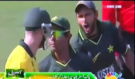 Fights Between Pakistani Players and Australian Players on the Playground