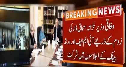 Finance Minister Ishaq Dar participated in IMF and World Bank's meetings through video link