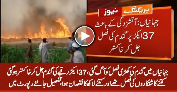 Fire Damages Wheat Crop of Millions Rupees in Jahanian