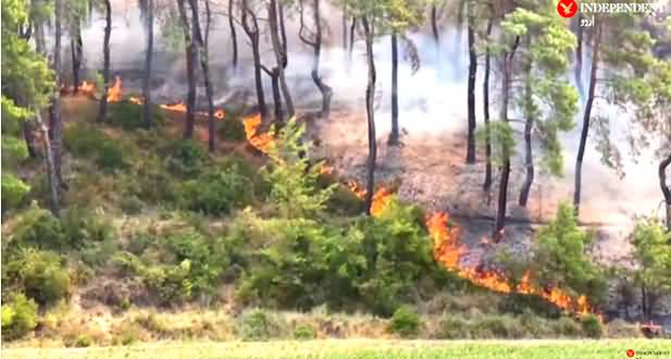 Fire Erupted In Forests in Turkey, Three Killed, More Than 100 Injured