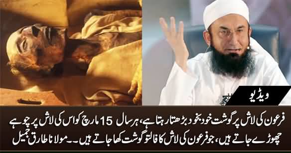 Firoun Ki Lash Per Har Saal 15 March Ko Chohey Chory Jatey Hain - Maulana Tariq Jameel