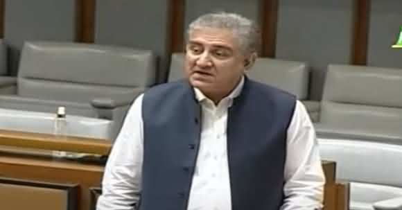 FM Shah Mehmood Qureshi Strong Reply To Sherry Rehman In Senate