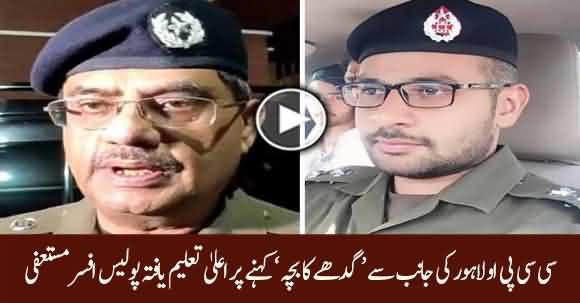 Foreign Qualified Police Officer Resigns After CCPO Lahore Umar Sheikh Called Him 'Gadhy Ka Bacha'