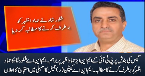 Gas crisis: PTI MNA Shakoor Shad demands Hammad Azhar's resignation