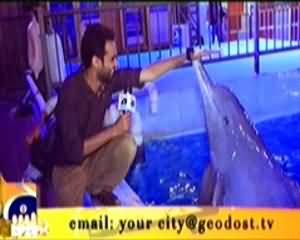 Geo Dost on Geo News – 15th February 2014