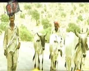 Geo FIR (Land Mafia Ka Karachi Mein Bazaar Garam) – 17th September 2013