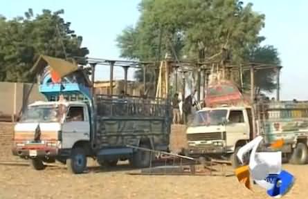 Geo News Report on PTI Preparations For Historical Jalsa in Larkana