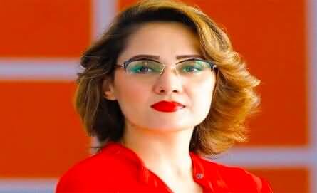 Gharida Farooqi's tweets on federal ministers press conference regarding 