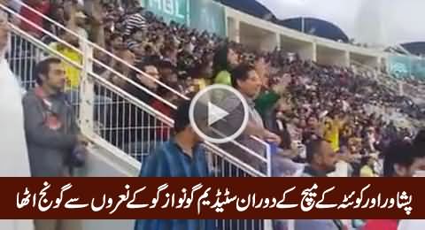 Go Nawaz Go Chants in PSL Match Between Peshawar And Quetta