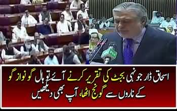 GO NAWAZ GO Echoes During Ishaq Dar Speech