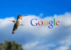 Google Enhanced its Search System with New Hummingbird Search Algorithm