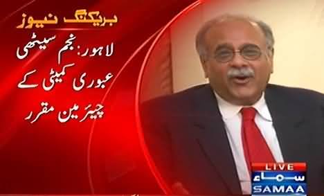 Govt Appoints Najam Sethi as Chairman PCB Interim Committee