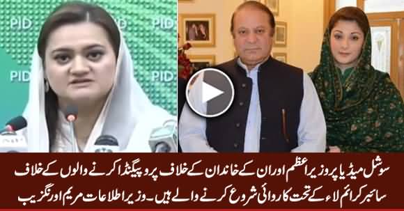Govt to Act Against Propaganda Campaign Targeting PM & His Family - Information Minister