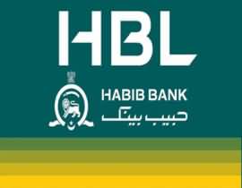 Habib Bank Website Hacked - Database Leaked Out Online - Only in 17 Minutes