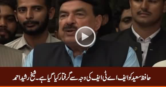 Hafiz Saeed Has Been Arrested Because of FATF - Sheikh Rasheed