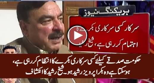 Hakumat Sarkari Bakre Ka Intezam Kar Rahi Hai, Ho Sakta Hai Wo Bakra Pervez Rasheed Ho - Sheikh Rasheed