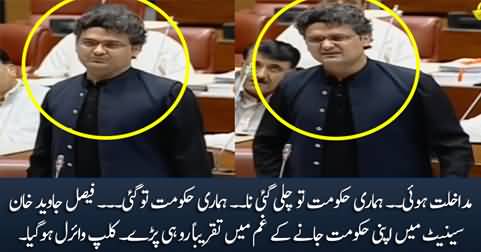 Hamari Hakumat To Chali Gai Na ... Faisal Javed Khan almost cried in senate