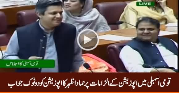 Hammad Azhar's Befitting Reply to Opposition in National Assembly