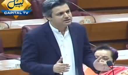 Hammad Azhar Tells in Assembly What They Are Doing to Revive Economy