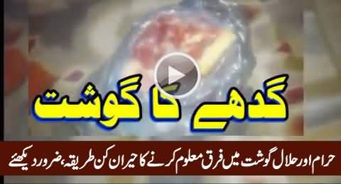 Haraam Aur Halaal Gosht Mein Farq Maloom Karein, Amazing Video, Must Watch