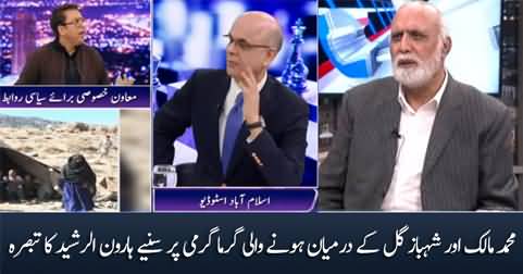 Haroon Rasheed's comments on fight between Muhammad Malick & Shahbaz Gill