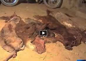 Erotic massage  Haveli Lakha