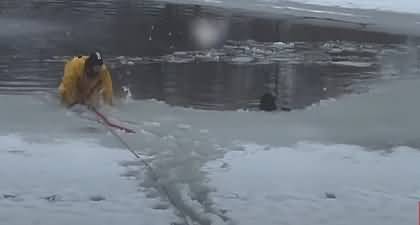 Heroic moment a firefighter rescues dog from frozen pond in America