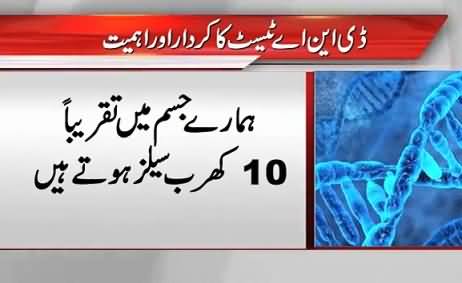 How DNA Test Helps in Criminal Investigation - Dunya News Report