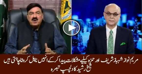 How Much Maryam Nawaz Acts Will Damage Shehbaz Sharif And Hamza? Sheikh Rasheed Explains