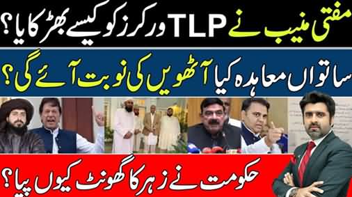 How Mufti Munib Appreciated And Incited TLP Workers - Details By Ameer Abbas