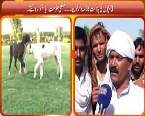 Hum Log (3 Bachon Ko Kutton Ne Maar Diya) – 20th June 2015