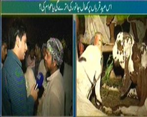 Hum Log (Is Eid May Khaal Janwar Ki Utray Gi Ya Awam Ki?) - 12th October 2013