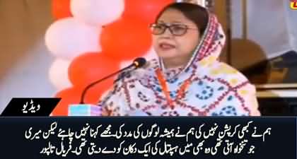 Hum Ne Koi Corruption Nhn Ki, Main Apni Tankhah Hospital Ki Aik Dukan Ko Day Deti Thi - Faryal Talpur