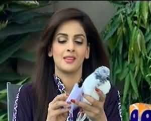 Hum Sab Umeed Se Hein – 9th September 2013