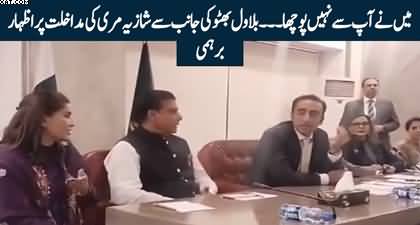 I am not asking you - Bilawal Bhutto scolds Shazia Marri during discussion