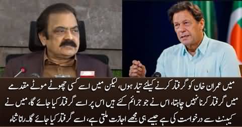 I am ready to arrest Imran Khan, I have requested the cabinet to allow me - Rana Sanaullah
