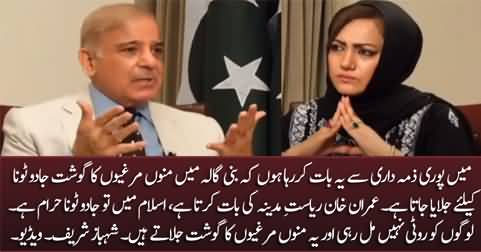 I am telling you with full responsibility that tons of chicken meat is burnt at Bani Gala for Jadu Tona - Shahbaz Sharif