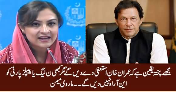 I Genuinely Believe That Imran Khan Will Resign But Not Give NRO to PMLN or PPP - Marvi Memon