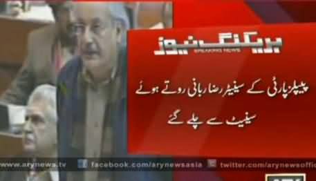 I Have Voted Against My Zameer - Raza Rabbani Bursts Into Tears While Voting
