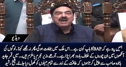 Half of the cabinet is accused, I request General Bajwa to open all the prisons - Sheikh Rasheed