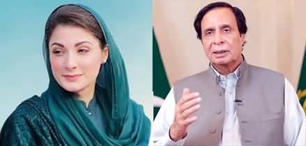 I respect Maryam Nawaz because she has political wisdom - Pervaiz Elahi