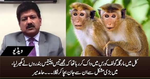 I Was Surrounded By 30-35 Monkeys in Islamabad During Walk - Hamid Mir