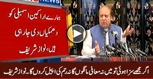 I Will Not Apologize or Ask For Mercy If Jailed - Nawaz Sharif