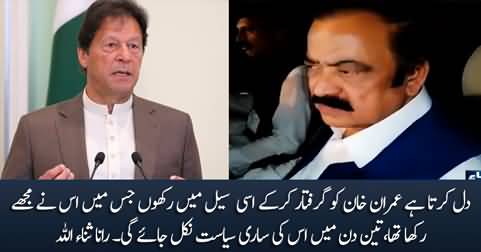 I wish I could arrest Imran Khan and put him in the same cell where he kept me - Rana Sanaullah