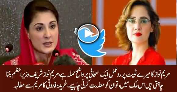 If Maryam Nawaz Wish To Become Prime Minister, She Should Pardon Me On Her Remarks - Gharida Farooqi